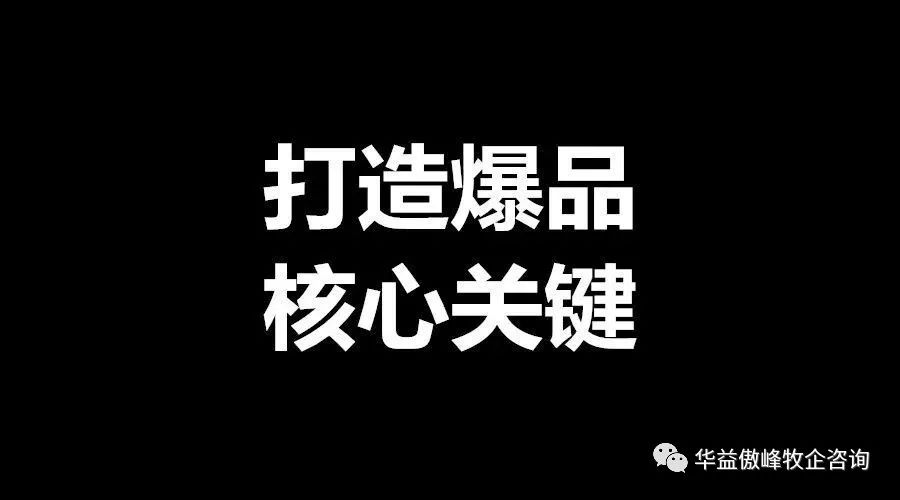 华益傲峰爆品打造